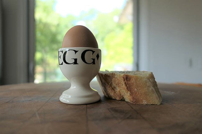 Egg in a cup with bread